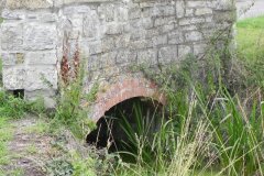 DSCN1363