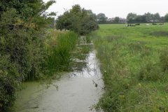 Drain-north-of-Gold-Corner-Bridge