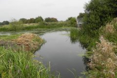 Manor-Rhyne-joins-the-South-Drain-near-West-Bridge