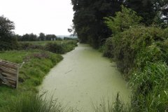 Manor-Rhyne-sluice-looking-upstream-from-South-Drain-near-West-Bridge