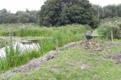 Rhynes-meet-near-Catcott-Bridge