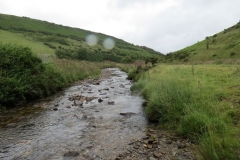 1. Downstream from Sparcombe Water (2)