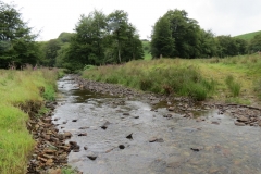 1. Downstream from Sparcombe Water (5)