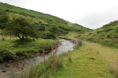 1. Downstream from Sparcombe Water (7)