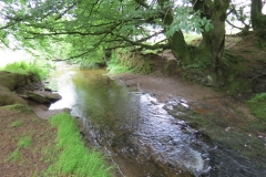 13. Flowing through Westermill Farm campsite  (1)