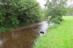 13. Flowing through Westermill Farm campsite  (4)