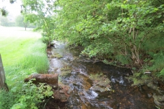 13. Flowing through Westermill Farm campsite  (5)