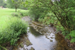 13. Flowing through Westermill Farm campsite  (6)