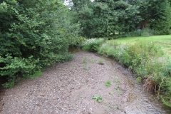 16. Upstream from ROW Bridge 3375