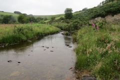 2. Downstream from Sparcombe Water (3)