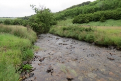 2. Downstream from Sparcombe Water (4)