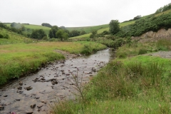 2. Downstream from Sparcombe Water (5)