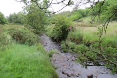 4. Upstream from Westermill Farm (1)
