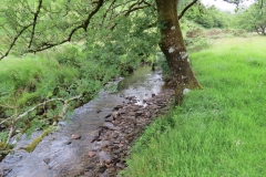 4. Upstream from Westermill Farm (2)