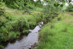 4. Upstream from Westermill Farm (3)