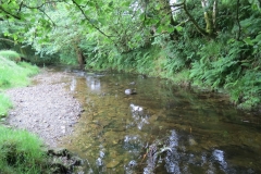 6. Flowing through Westermill Farm campsite (11)