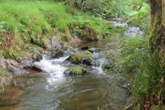 6. Flowing through Westermill Farm campsite (12)