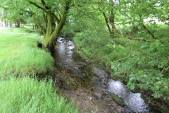 6. Flowing through Westermill Farm campsite (15)