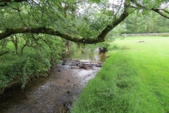 6. Flowing through Westermill Farm campsite (4)