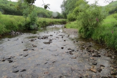 6. Flowing through Westermill Farm campsite (6)