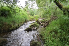6. Flowing through Westermill Farm campsite (9)