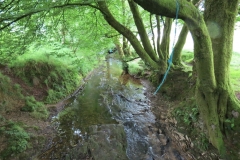 8. Looking upstream from Westrmill Farm West Footbridge