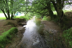 9. Looking downstream from Westrmill Farm West Footbridge