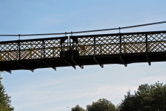 IMG_1398_edited