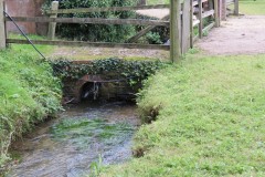 11.-Stawley-Mill-leat-downstream-from-weir