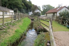 13.-Stawley-Mill-leat-downstream-from-weir