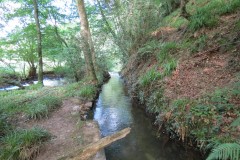 6.-Stawley-Mill-leat-downstream-from-weir