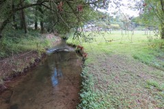 9.-Stawley-Mill-leat-downstream-from-weir