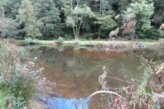 4.-Stawley-Mill-pond