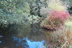 5.-Stawley-Mill-pond