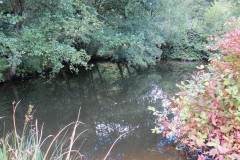 8.-Stawley-Mill-pond