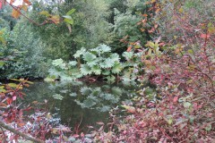 9.-Stawley-Mill-pond