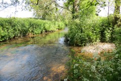 Sticklepath Stream