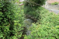 4.-Looking-upstream-from-Combwich-Pill-Bridge