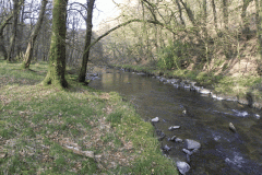10. Flowing past Ashway Hat Wood