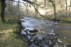 11. Flowing past Ashway Hat Wood