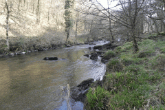 12. Flowing past Ashway Hat Wood