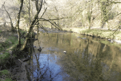 13. Flowing past Ashway Hat Wood
