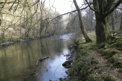 14. Flowing past Ashway Hat Wood