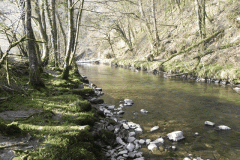 15. Flowing past Ashway Hat Wood