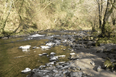 21. Downstream from Penny Bridge