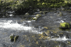 23. Downstream from Cinder Pool