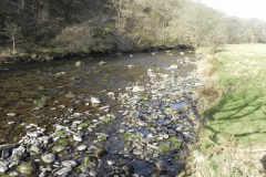 30. Upstream from Three Waters