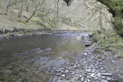 38. Downstream from Three Waters