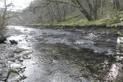 39. Flowing Past Great Birchcleeve Wood