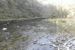 41. Flowing Past Great Birchcleeve Wood